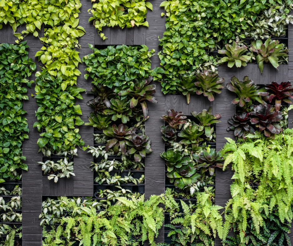 eco-friendly vertical garden for urban landscape design