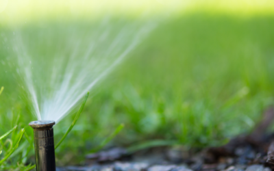 5 Essential Questions You Must Ask Before Searching Irrigation Companies Near Me