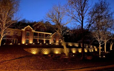 How Landscape Lighting Designers Can Illuminate Your Outdoor Space