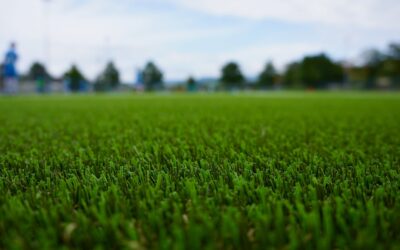 5 Great Reasons You Should Look At Turf Installation Near Me