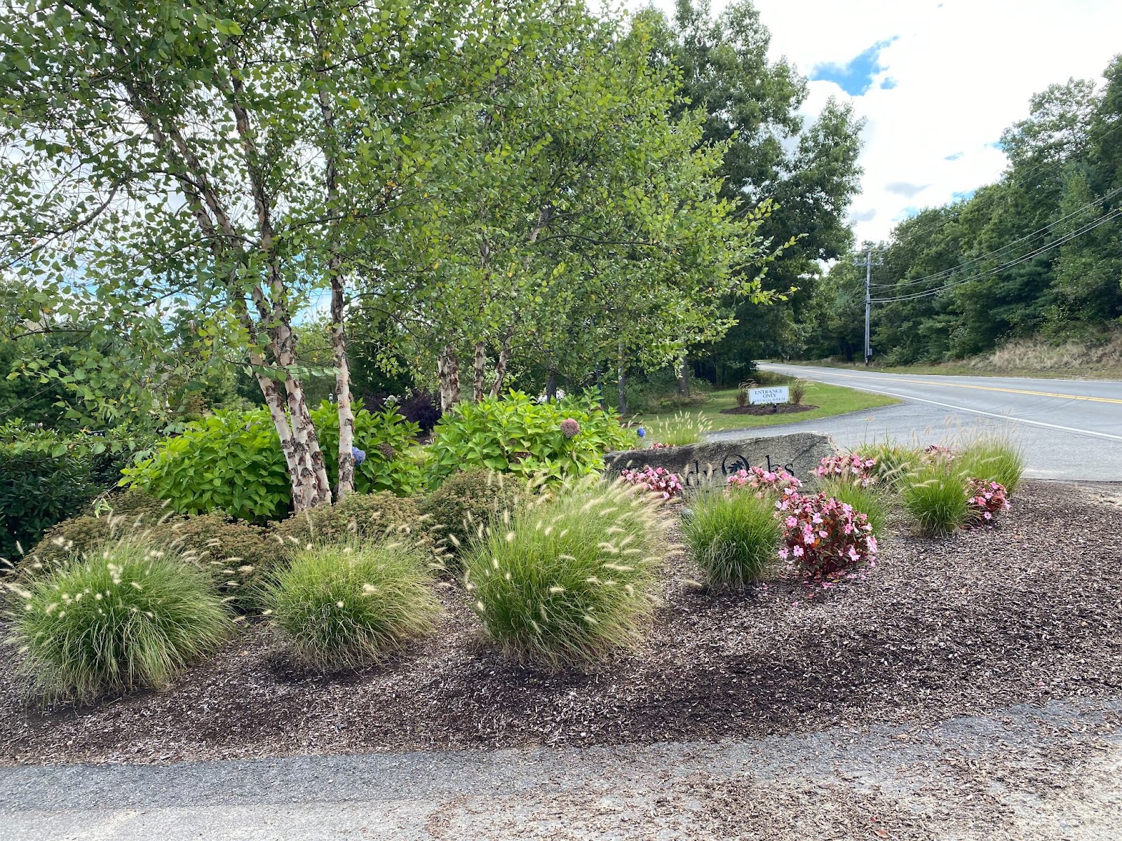 A landscape design company mixes decorative grasses and blooming shrubs for a finished look  